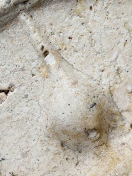 สวยแชมป์ ให้เช่า มรดกบ้าน พระสมเด็จวัดระฆัง พิมพ์ใหญ่ สวย มีมวลสาร