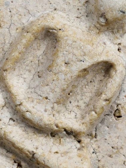 สวยแชมป์ ให้เช่า มรดกบ้าน พระสมเด็จวัดระฆัง พิมพ์ใหญ่ สวย มีมวลสาร รูปที่ 16