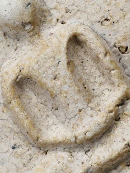 สวยแชมป์ ให้เช่า มรดกบ้าน พระสมเด็จวัดระฆัง พิมพ์ใหญ่ สวย มีมวลสาร รูปที่ 3