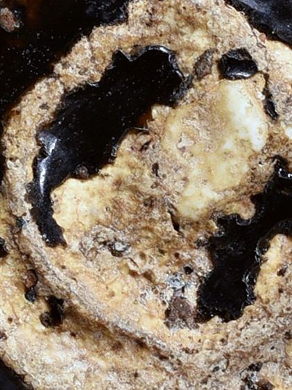 สวยมาก-องค์ครู ให้เช่า พระบ้าน  (1ในตำนาน) ชุดเบญจภาคี พระสมเด็จวัดระฆัง พิมพ์ใหญ่  จุ่มรักสีดำ  รูปที่ 16