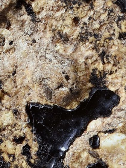 สวยมาก-องค์ครู ให้เช่า พระบ้าน  (1ในตำนาน) ชุดเบญจภาคี พระสมเด็จวัดระฆัง พิมพ์ใหญ่  จุ่มรักสีดำ  รูปที่ 3