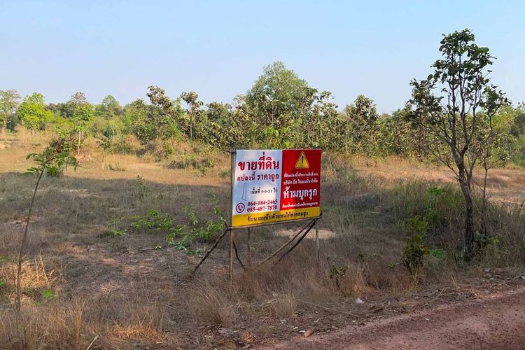 โคตรถูก ช้าหมดอดแน่นอน ที่ดิน อ.พิบูลมังสาหาร จ.อุบลฯ 5 ไร่กว่า ยกแปลงแค่ 8 แสนบาท (เฉลี่ยไร่ละแสนนิดๆ) ราคานี้หาไม่ได้อีกแล้ว รูปที่ 2