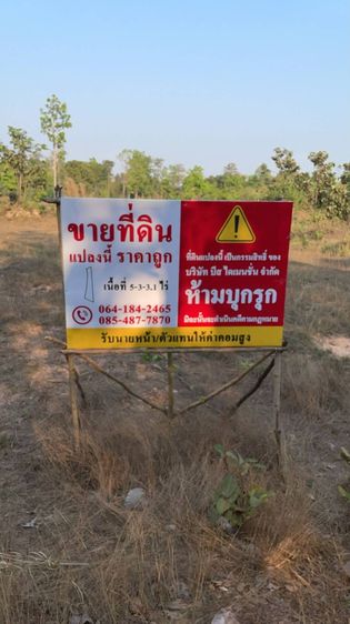 โคตรถูก ช้าหมดอดแน่นอน ที่ดิน อ.พิบูลมังสาหาร จ.อุบลฯ 5 ไร่กว่า ยกแปลงแค่ 8 แสนบาท (เฉลี่ยไร่ละแสนนิดๆ) ราคานี้หาไม่ได้อีกแล้ว