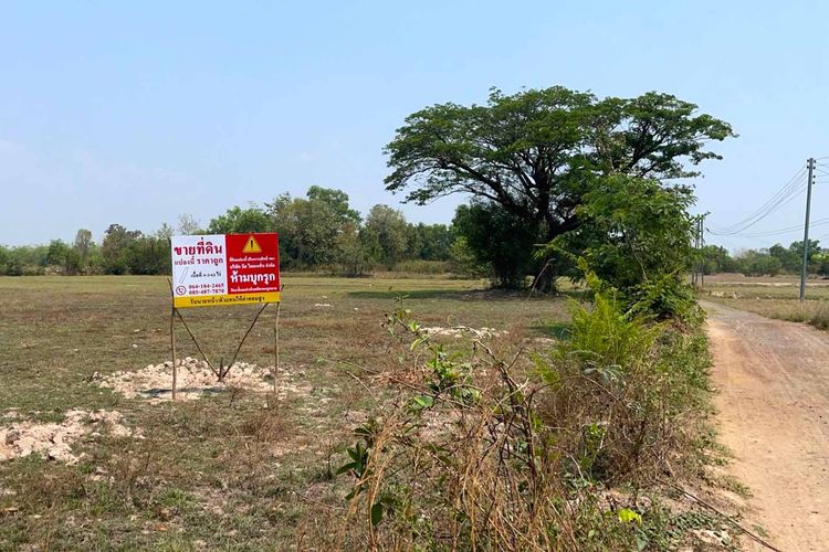ขายด่วน ที่ดินสวย อ.เมืองศรีสะเกษ 5 ไร่กว่า ทำเลดี ราคาแตะต้องได้ รูปที่ 2