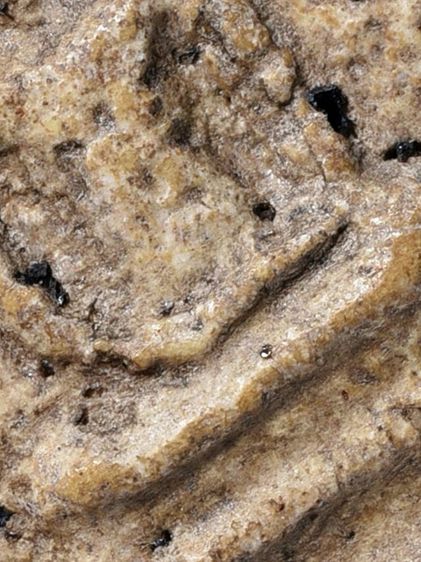 สวยสุด,สมบัติบ้าน พระสมเด็จวัดระฆัง พิมพ์ใหญ่ เก่า มีมวลสาร รูปที่ 3