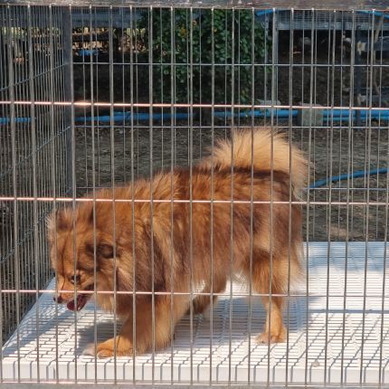 หาบ้านใหม่ (ฟรีคัดบ้านค่ะ) รูปที่ 5