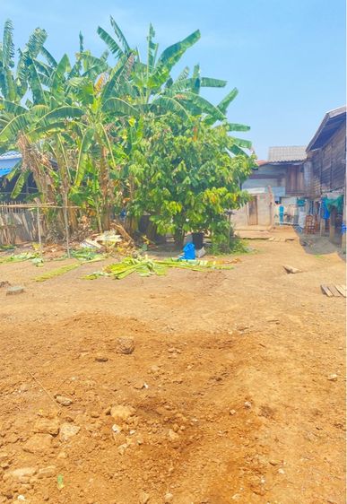 ที่ดินราคาถูก รูปที่ 4