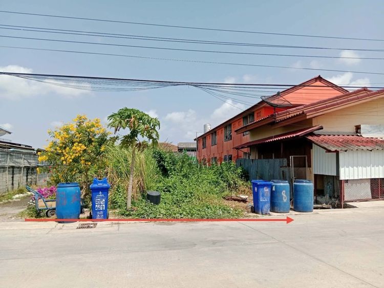 ใช่ ขายที่ดิน 100 ตรวเศษ กรุงเทพ เขต บางขุนเทียน กทม รูปที่ 4