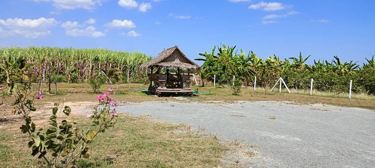 ขายที่ดิน 200 ตารางวา สไตล์บ้านสวน อ.อู่ทอง จังหวัดสุพรรณบุรี