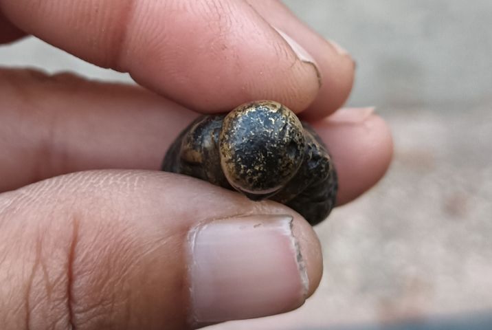 พระรูปหล่อเก่า 1 องค์ รูปที่ 5