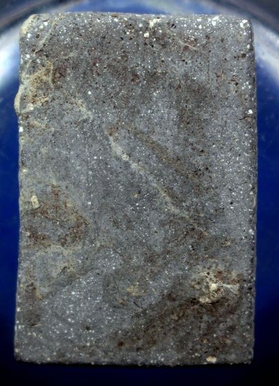 พระสมเด็จปิลันทน์พิมพ์ปรกโพธิ์ รูปที่ 3