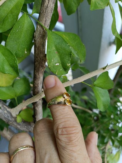 แหวนทองแท้ 9k  รูปที่ 5