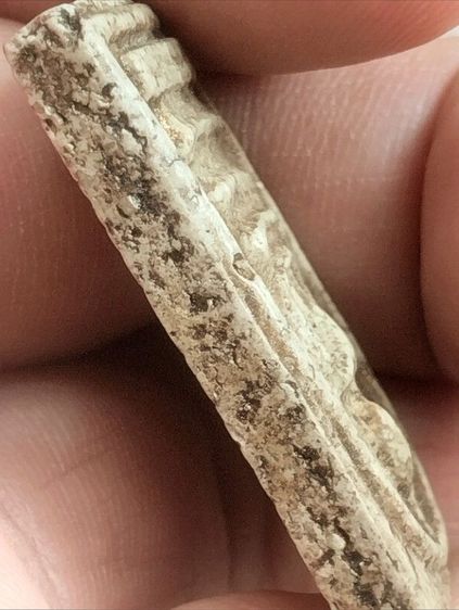 สมเด็จวัดระฆังพิมพ์ใหญ่เกศทะลุซุ้มหลังสังขยา รูปที่ 4