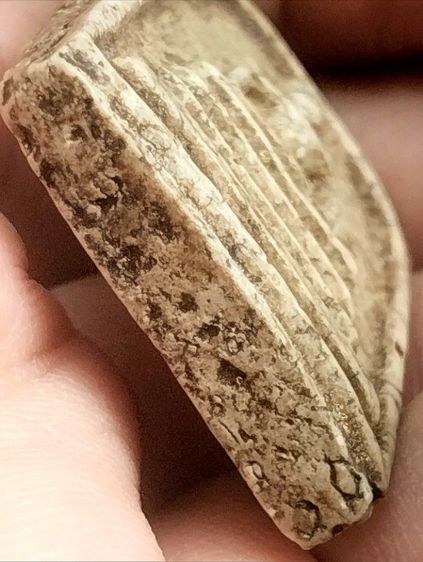 สมเด็จวัดระฆังพิมพ์ใหญ่เกศทะลุซุ้มหลังสังขยา รูปที่ 6