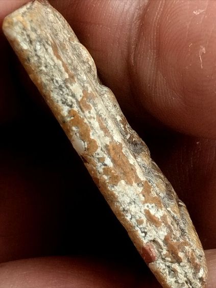 สมเด็จวัดระฆังพิมพ์ทรงเจดีย์ รูปที่ 3