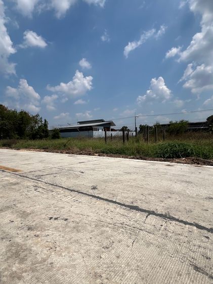 ใช่ ที่ดินเปล่า รังสิต คลอง5 ที่ดินดี ขนาด 100ตรว เจ้าของขายเอง เหมาะซื้อเก็บ ปลูกที่พักอาศัย พร้อมโอน รูปที่ 3