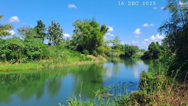 ติดแม่น้ำลี้ติดถนนคอนกรีต ใกล้ทางขึ้นดอยอินทนนท์ วิวสวยเหมาะทำคาเฟ่ร้านอาหารริมน้ำ ลานแคมป์ปิ้ง บ้านพักตากอากาศ