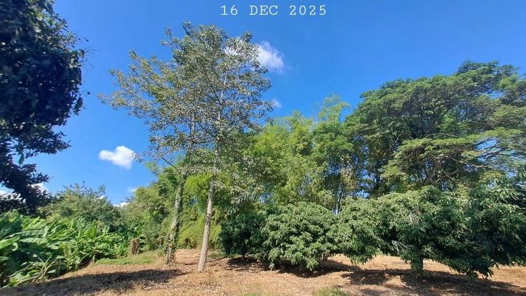 ไม่ใช่ ติดแม่น้ำลี้ติดถนนคอนกรีต ใกล้ทางขึ้นดอยอินทนนท์ วิวสวยเหมาะทำคาเฟ่ร้านอาหารริมน้ำ ลานแคมป์ปิ้ง บ้านพักตากอากาศ รูปที่ 3