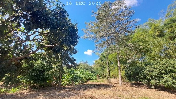 ไม่ใช่ ติดแม่น้ำลี้ติดถนนคอนกรีต ใกล้ทางขึ้นดอยอินทนนท์ วิวสวยเหมาะทำคาเฟ่ร้านอาหารริมน้ำ ลานแคมป์ปิ้ง บ้านพักตากอากาศ รูปที่ 2