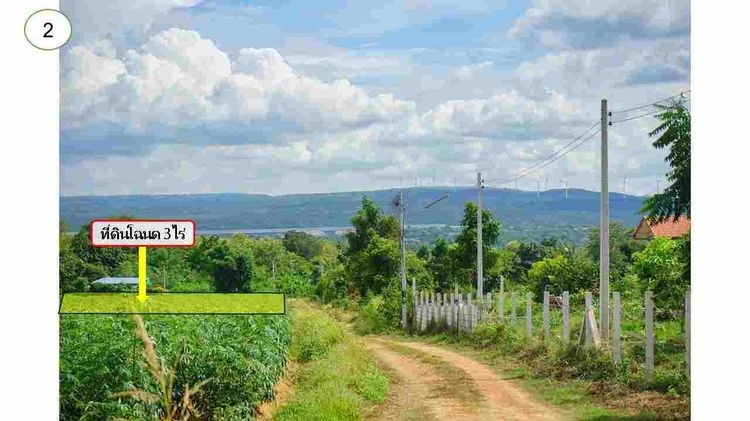 ขาย Ozone บริสุทธิ์ ที่ดินคลองไผ่.วิวเขา  3 ไร่.  3.9 ล้านบาท