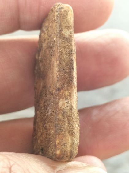 สมเด็จบางขุนพรหมเนื้อเก่ามีคราบกรุแน่นๆ รูปที่ 4