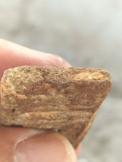 สมเด็จบางขุนพรหมเนื้อเก่ามีคราบกรุแน่นๆ รูปที่ 5