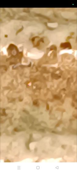 พระสมเด็จวัดระฆัง เนื้อตุ๊บตั๊บหลังสังขยา มีคราบตู้หู้สวยมากๆ รูปที่ 5