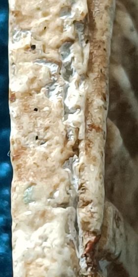 พระสมเด็จวัดระฆัง เนื้อตุ๊บตั๊บหลังสังขยา มีคราบตู้หู้สวยมากๆ รูปที่ 10