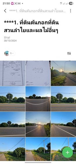 ที่ดินเปล่า