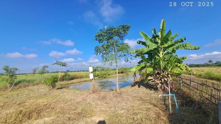 ขายบ่อปลาสวนผสม ตรงข้ามวัดพระธาตุดอยน้อย น้ำประปาไฟฟ้าพร้อม เหมาะทำบ้านสวนริมนา ฟิชชิ่งปาร์ค ลานแคมป์ปิ้ง