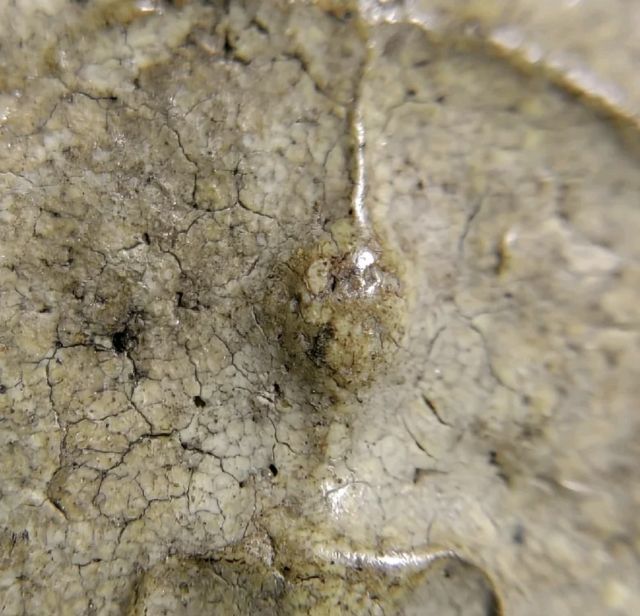 พระสมเด็จกรุเก่าหายาก มีเพียงอย่างละองค์เท่านั้น รูปที่ 11