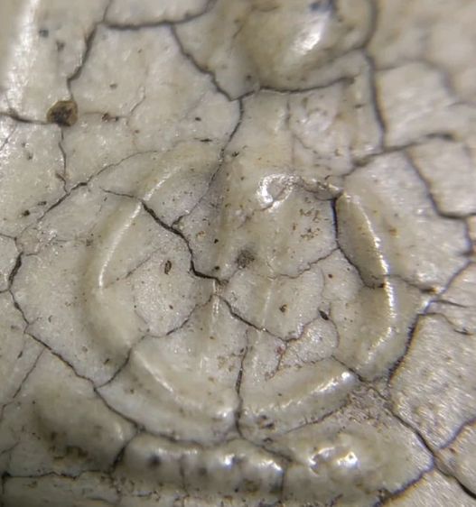 พระสมเด็จกรุเก่าหายาก มีเพียงอย่างละองค์เท่านั้น รูปที่ 4