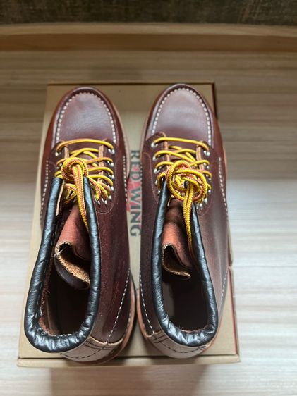 Red wing  รูปที่ 6