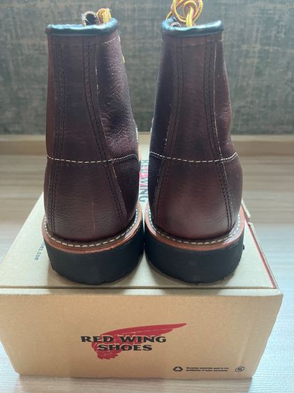 Red wing  รูปที่ 4