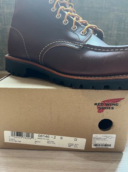 Red wing  รูปที่ 5