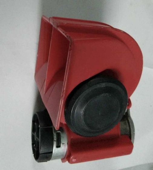 แตรลมลั่นทุ่ง รูปที่ 2