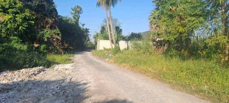 ขายที่ดิน อ.บางใหญ่ 1ไร่ 2งาน  ต.บางแม่นาง จ. นนทบุรี