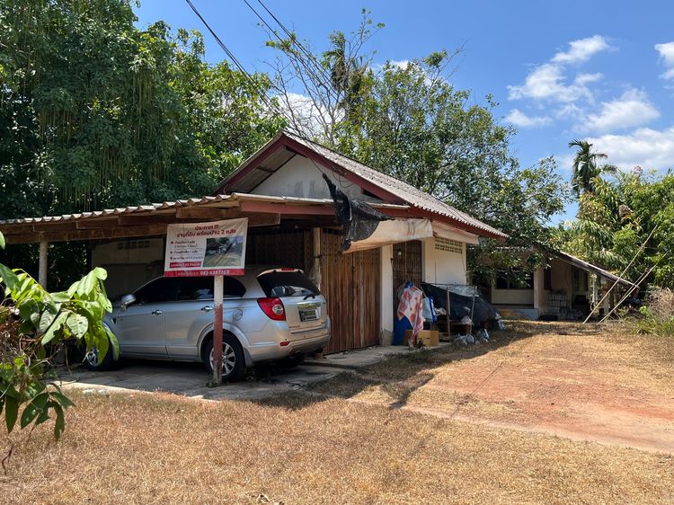 อื่นๆ ขายบ้าน2หลัง พร้อมที่ดิน จ.ตรัง อ.นาโยง ต.ละมอ ติดถนนทางหลวง รูปที่ 4