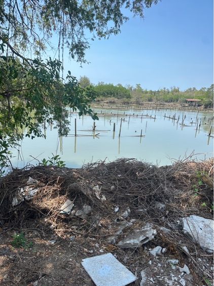 ที่ดินเจ้าของขายเอง รูปที่ 4