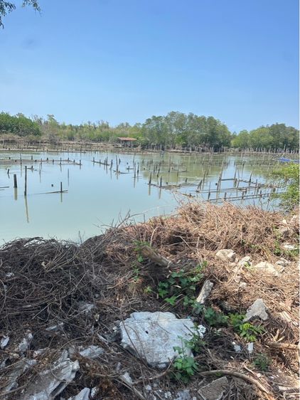 ที่ดินเจ้าของขายเอง รูปที่ 3