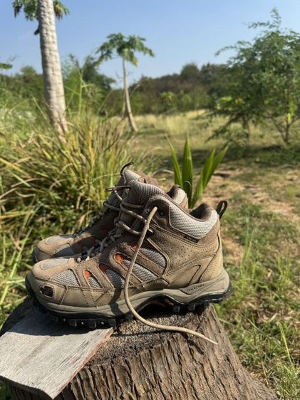 รองเท้า the north face