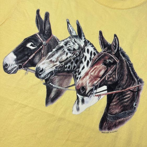 เสื้อยืด 90s สกรีนยาง Wild Side by Fruit of the Loom Size S รูปที่ 4