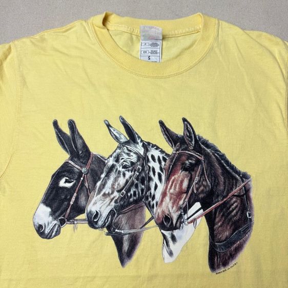 เสื้อยืด 90s สกรีนยาง Wild Side by Fruit of the Loom Size S
