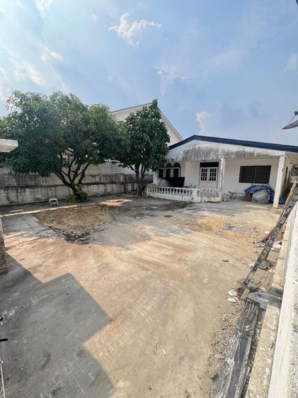 ไม่มี ขายบ้านเดี่ยว ชั้นเดียว 77 วา ย่านลาดพร้าว โชคชัย4 วังหิน สภาพแวดล้อมดี รูปที่ 3