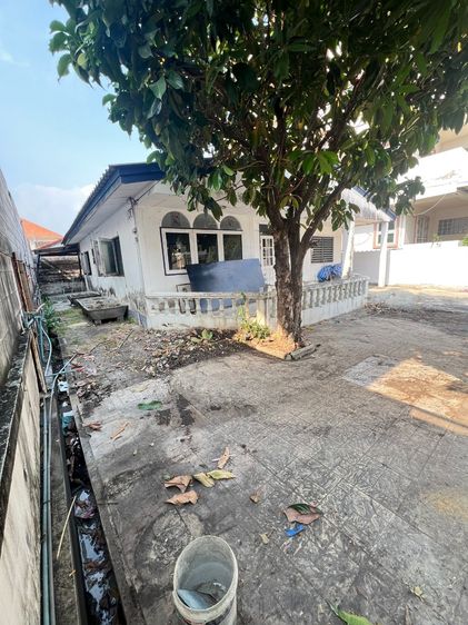 ไม่มี ขายบ้านเดี่ยว ชั้นเดียว 77 วา ย่านลาดพร้าว โชคชัย4 วังหิน สภาพแวดล้อมดี รูปที่ 4