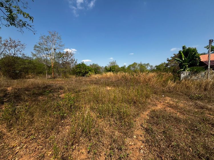 ขายที่ดินโคราช จัดสรรแปลงละ 100 ตรว. มี 6 แปลง อยู่บ้านพรสวรรค์ อ.สีคิ้ว โคราช รูปที่ 4