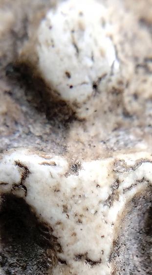 พระสมเด็จ วัดระฆัง บางขุนพรหม วัดเกศไชโย หลวงปู่ภู หลวงปู่นาค