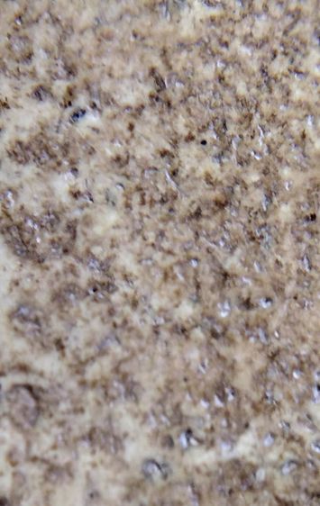 พระสมเด็จ วัดระฆัง บางขุนพรหม วัดเกศไชโย หลวงปู่ภู หลวงปู่นาค รูปที่ 4