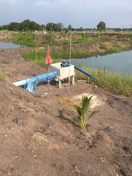 ขายที่ดินเปล่า 4 ไร่ ถมแล้ว ล้อมรั้ว มีบ่อน้ำ ราคาดี ทำเลกำลังโต รูปที่ 4