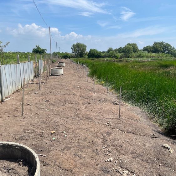 ขายที่ดินเปล่า 4 ไร่ ถมแล้ว ล้อมรั้ว มีบ่อน้ำ ราคาดี ทำเลกำลังโต รูปที่ 2